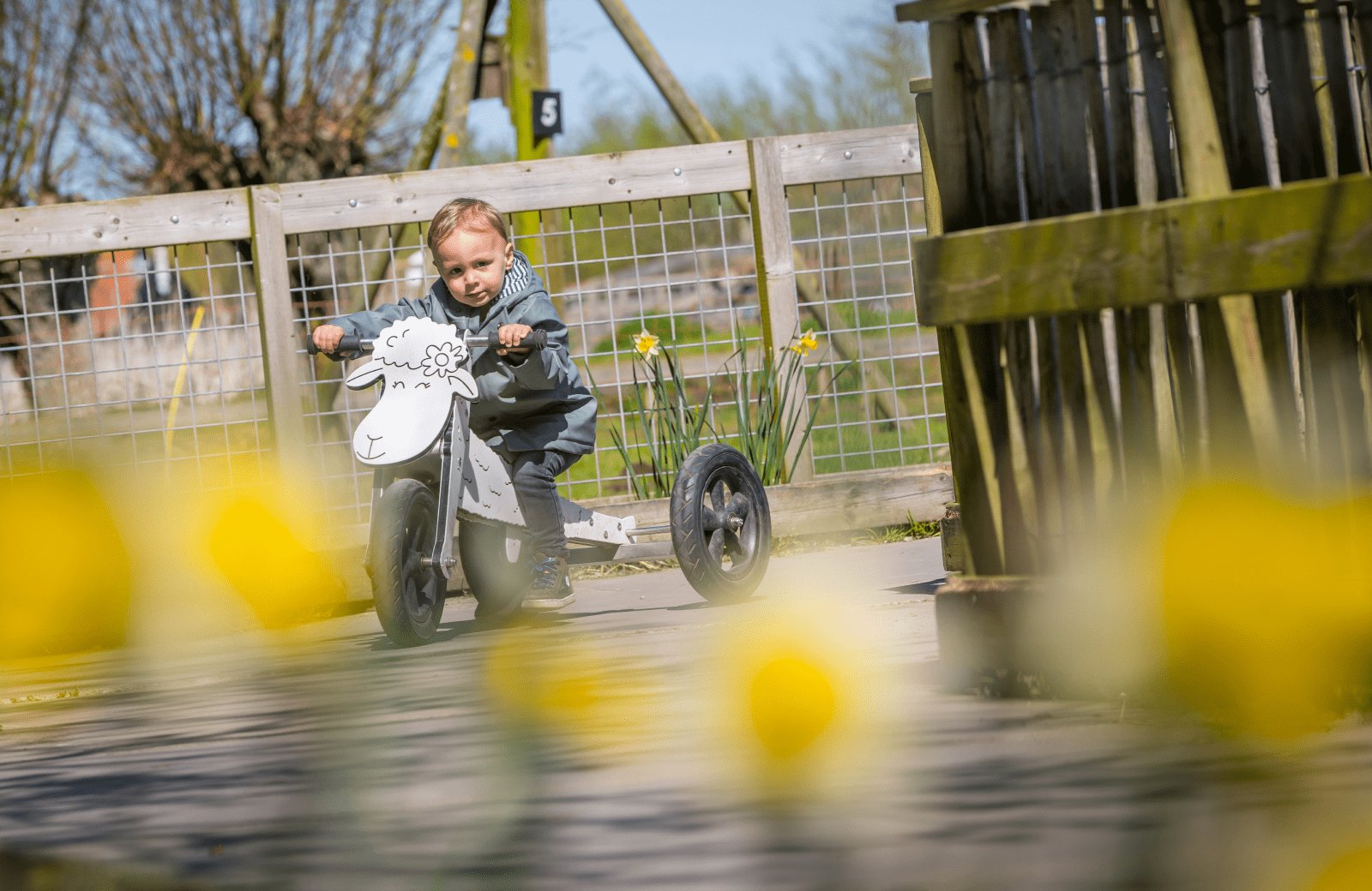 5 jaar avonturenboerderij molenwaard fietsjes