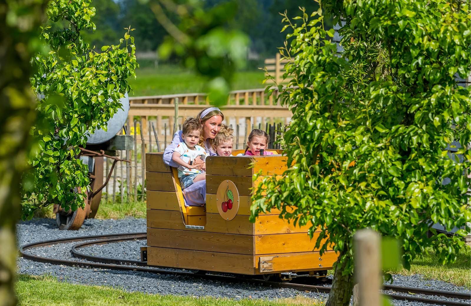 Fien & Teuns Zomerfestijn