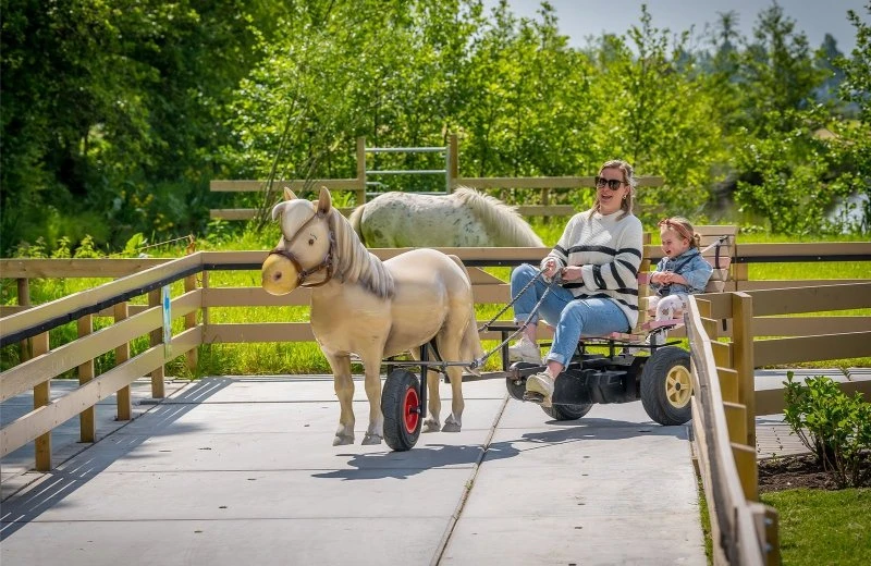 Stip's Ponyrace