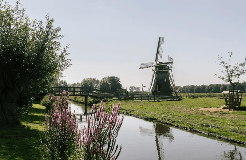 Korenmolen 'De Jonge Sophia'