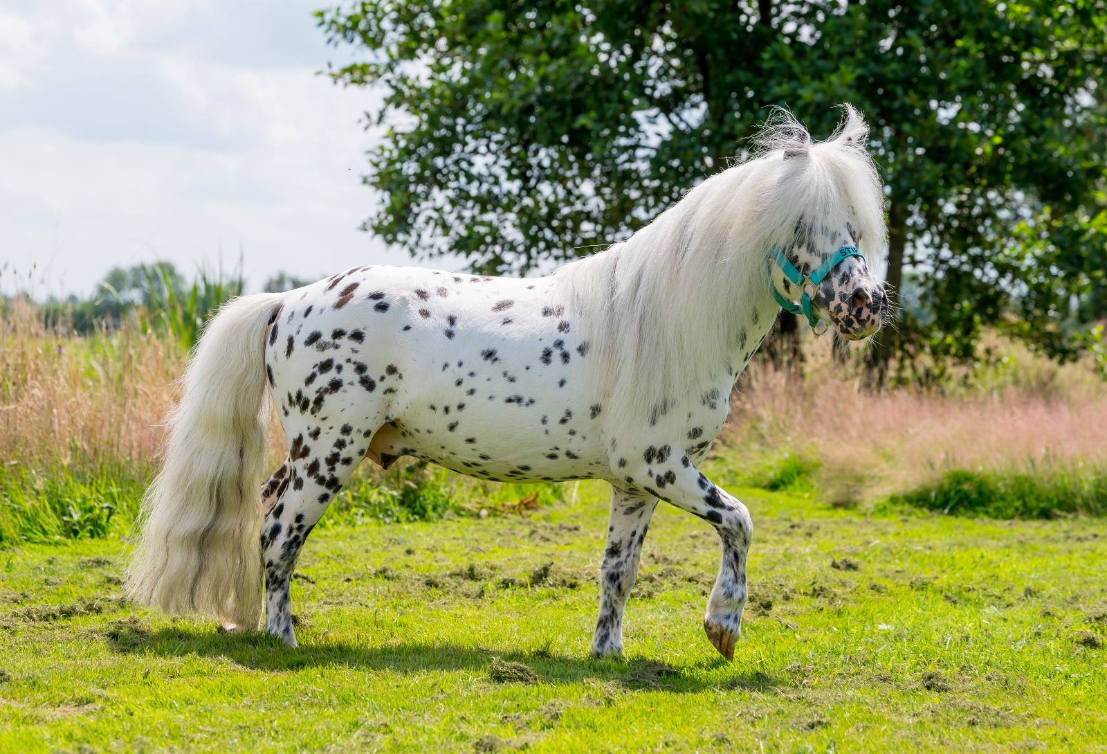 Ontdek meer online