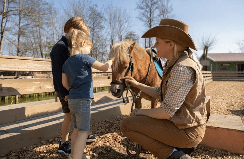Paarden- & Ponykinderfeestje