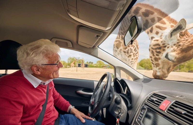 Safaripark Beekse Bergen