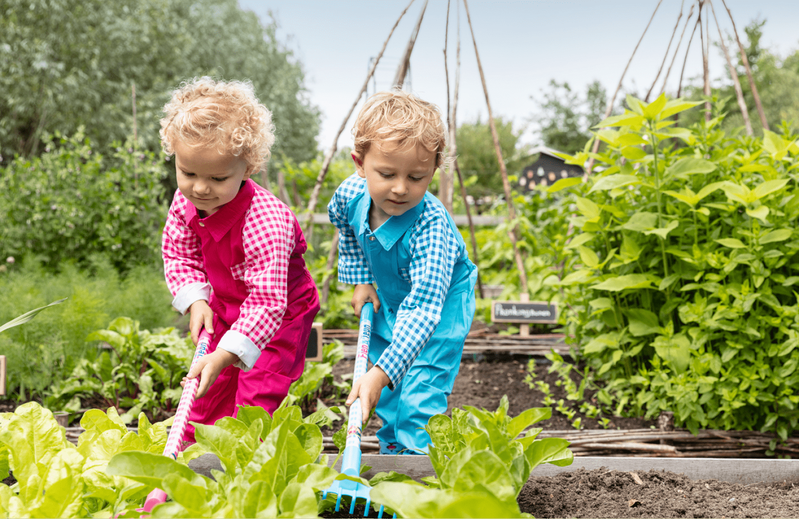 Greenhouse & kitchen garden