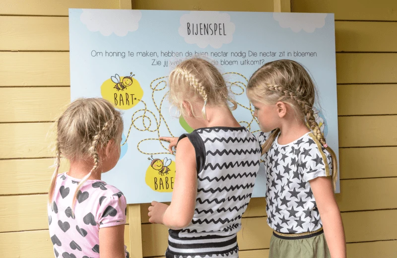 Bildung