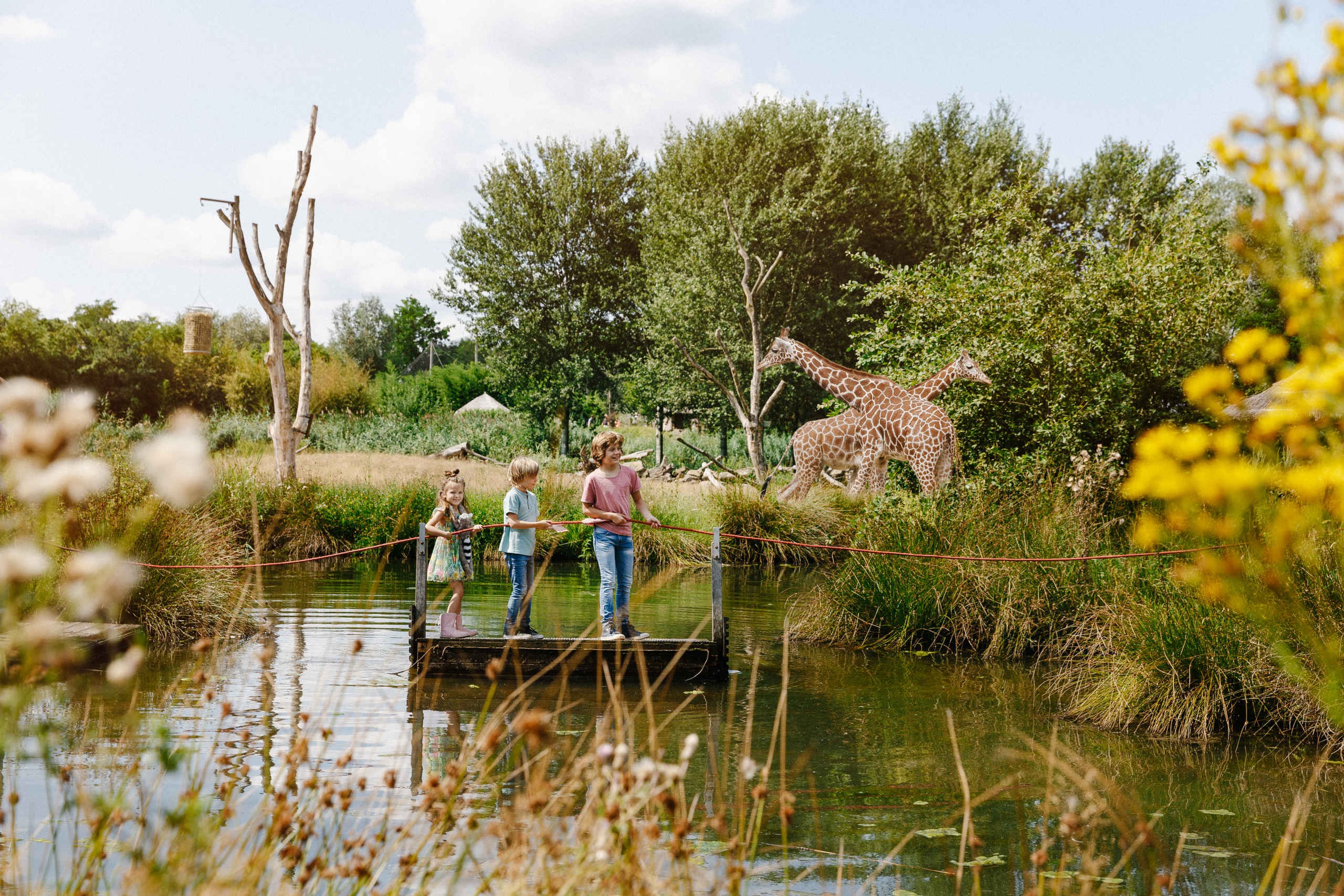 Zooparc overloon vlonder